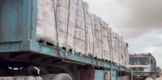 Más de 400 camiones con ayuda humanitaria internacional entran a Gaza Más de 400 camiones con ayuda humanitaria internacional entran a Gaza