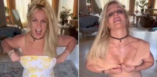 Britney Spears vive un delicado momento mental y financiero Britney Spears vive un delicado momento mental y financiero