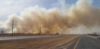 Gran incendio de pasto en Wabasha provocó el cierre de una carretera y una evacuación Gran incendio de pasto en Wabasha provocó el cierre de una carretera y una evacuación