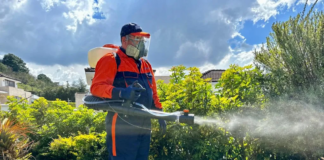 Comienza el trabajo en el estado para controlar la población de mosquitos Comienza el trabajo en el estado para controlar la población de mosquitos