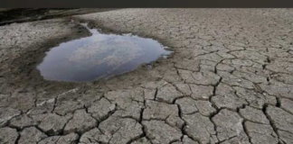 Hidalgo y Cameron, con declaraciones de desastre debido a una escasez crítica de agua Hidalgo y Cameron, con declaraciones de desastre debido a una escasez crítica de agua