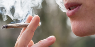 Tras un sábado donde se fumó marihuana en lugares abiertos, es bueno recordar qué esta permitido Tras un sábado donde se fumó marihuana en lugares abiertos, es bueno recordar qué esta permitido