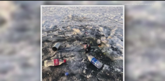 Alumnos de la UdeM limpiarán lagos de Twin Cities en honor a la Semana de la Tierra Alumnos de la UdeM limpiarán lagos de Twin Cities en honor a la Semana de la Tierra