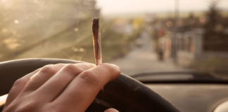 ¿Cómo controla la policía de Minnesota a los conductores que consumen marihuana? ¿Cómo controla la policía de Minnesota a los conductores que consumen marihuana?