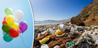 Mes de la Tierra: ¿cuánto daño hacemos al medioambiente si arrojamos globos al aire? Mes de la Tierra: ¿cuánto daño hacemos al medioambiente si arrojamos globos al aire?