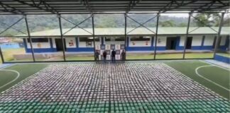 Incautan 1.4 toneladas de marihuana en zona rural de Colombia Incautan 1.4 toneladas de marihuana en zona rural de Colombia