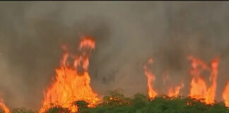 Bomberos de Florida combaten incendio forestal en condado de Miami Bomberos de Florida combaten incendio forestal en condado de Miami