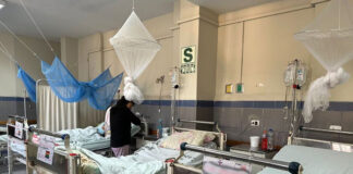 Lima afronta brote “nunca visto” de dengue, suman 16 mil casos Lima afronta brote "nunca visto" de dengue, suman 16 mil casos