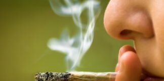 EEUU reclasificará la marihuana como droga de bajo riesgo EEUU reclasificará la marihuana como droga de bajo riesgo