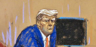 Donald Trump orquestó “plan delictivo” para influir en elecciones de 2016 Donald Trump orquestó "plan delictivo" para influir en elecciones de 2016