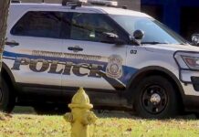 Conductora atropella a 11 personas en Michigan y se da a la fuga Conductora atropella a 11 personas en Michigan y se da a la fuga