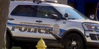 Conductora atropella a 11 personas en Michigan y se da a la fuga Conductora atropella a 11 personas en Michigan y se da a la fuga