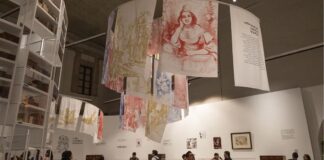 En México, la colección más grande de libros “Don Quijote” de América En México, la colección más grande de libros “Don Quijote” de América