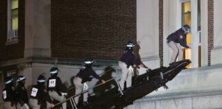 Arrestan a decenas de personas en desalojo de manifestantes de Columbia Arrestan a decenas de personas en desalojo de manifestantes de Columbia