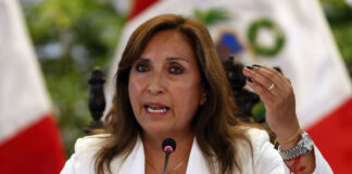 Fiscalía abre diligencias a Dina Boluarte por encubrimiento de su hermano Fiscalía abre diligencias a Dina Boluarte por encubrimiento de su hermano