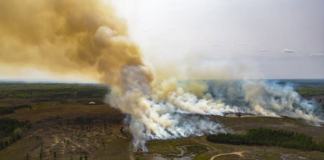 Una quema prescrita se salió de control cerca de la costa norte de Minnesota Una quema prescrita se salió de control cerca de la costa norte de Minnesota