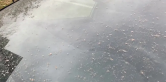 Afloja la lluvia por la mañana, pero por la noche vuelve a ponerse húmedo… Afloja la lluvia por la mañana, pero por la noche vuelve a ponerse húmedo...