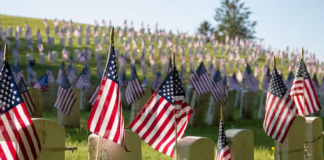 Habrá muchos eventos en todo Minnesota para honrar el Día de los Caídos Habrá muchos eventos en todo Minnesota para honrar el Día de los Caídos