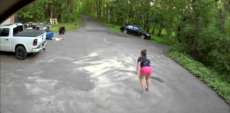 Una mujer de Maple Grove y su perro, acorralados por tres osos en Maple Grove Una mujer de Maple Grove y su perro, acorralados por tres osos en Maple Grove