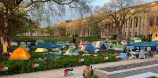 Se mantiene el campamento de estudiantes pro palestinos en la Universidad de Minnesota Se mantiene el campamento de estudiantes pro palestinos en la Universidad de Minnesota