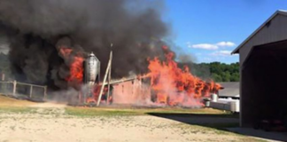 Un incendio destroza un granero y mata a 7.000 pavos Un incendio destroza un granero y mata a 7.000 pavos