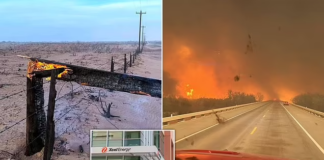 Xcel Energy podría volver a cortar la electricidad para evitar incendios Xcel Energy podría volver a cortar la electricidad para evitar incendios