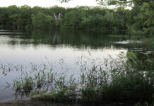 Autoridades identifican hombre encontrado muerto en estanque de Fridley Autoridades identifican hombre encontrado muerto en estanque de Fridley