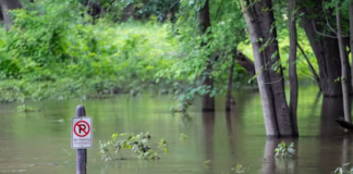 Cierran 43 carreteras por inundación: ha llovido entre 1,5 y 4 pulgadas en Minnesota Cierran 43 carreteras por inundación: ha llovido entre 1,5 y 4 pulgadas en Minnesota