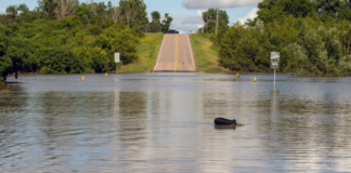 Inundaciones masivas están afectando ahora a casi la mitad de Minnesota Inundaciones masivas están afectando ahora a casi la mitad de Minnesota