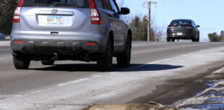 ¿Qué se hace con los animales atropellados y quién debe sacarlos de la carretera? ¿Qué se hace con los animales atropellados y quién debe sacarlos de la carretera?