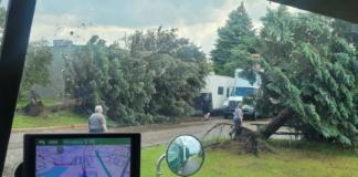 Las fuertes tormentas que azotaron Minnesota derribaron árboles en Circle Pines Las fuertes tormentas que azotaron Minnesota derribaron árboles en Circle Pines