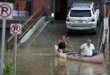 Amenaza de dengue en EEUU tras dispararse los casos en el mundo Amenaza de dengue en EEUU tras dispararse los casos en el mundo