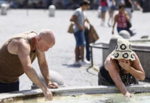 Miles de muertos y millones en alerta por la ola de calor extremo en el mundo Miles de muertos y millones en alerta por la ola de calor extremo en el mundo