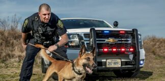 El oficial canino de Brooklyn Park “Meeko” recibirá un chaleco antibalas El K9 Meeko recibirá un chaleco protector contra balas.