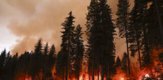 Más de 4 mil 800 bomberos combaten el “incendio Park” en California Más de 4 mil 800 bomberos combaten el "incendio Park" en California