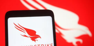 Crowdstrike, el software de ciberseguridad que causó el apagón digital mundial Crowdstrike, el software de ciberseguridad que causó el apagón digital mundial