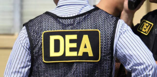 Empresaria se declara culpable de transferir ganancias del narco a México Empresaria se declara culpable de transferir ganancias del narco a México