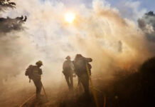 Incendio provocado en California se convierte en el más grande de 2024 Incendio provocado en California se convierte en el más grande de 2024