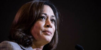 Kamala Harris, de vicepresidenta gris a posible relevo de Biden Kamala Harris, de vicepresidenta gris a posible relevo de Biden