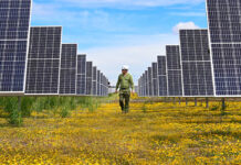 “México Sostenible”, una exposición fotográfica sobre la importancia de las energías limpias México Sostenible, una exposición fotográfica sobre la importancia de las energías limpias