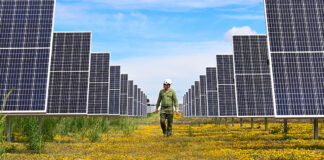 “México Sostenible”, una exposición fotográfica sobre la importancia de las energías limpias México Sostenible, una exposición fotográfica sobre la importancia de las energías limpias