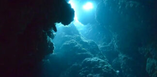 Oxígeno negro pone en duda la teoría sobre el orígen de la vida Oxígeno negro pone en duda la teoría sobre el orígen de la vida