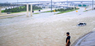 Más de 1.6 millones de hogares en Texas siguen sin luz tras el paso de Beryl Más de 1.6 millones de hogares en Texas siguen sin luz tras el paso de Beryl