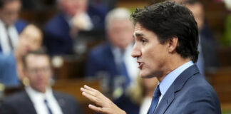 Justin Trudeau ve un posible retorno de Trump a la presidencia de EEUU Justin Trudeau ve un posible retorno de Trump a la presidencia de EEUU
