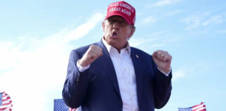 Donald Trump nombra a cuatro posibles candidatos como su compañero de fórmula Donald Trump nombra a los posibles candidatos como su compañero de fórmula