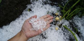 Tormentas severas traerán granizo grande y vientos dañinos Tormentas severas traerán granizo grande y vientos dañinos