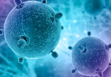 Crean tratamiento contra el Covid-19 con células inmunitarias sintéticas Crean tratamiento contra el Covid-19 con células inmunitarias sintéticas