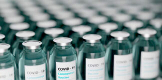 FDA autoriza versión actualizada de las vacunas para Covid-19 FDA autoriza versión actualizada de las vacunas para Covid-19