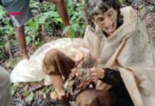 Hallan a mujer estadounidense encadenada a un árbol y abandonada en bosque de la India Hallan a mujer estadounidense encadenada a un árbol y abandonada en bosque de la India