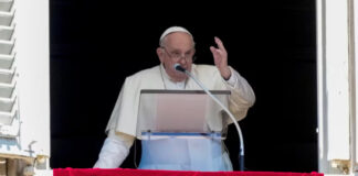 Papa Francisco llama a “buscar la verdad” en las elecciones en Venezuela Papa Francisco llama a "buscar la verdad" en las elecciones en Venezuela